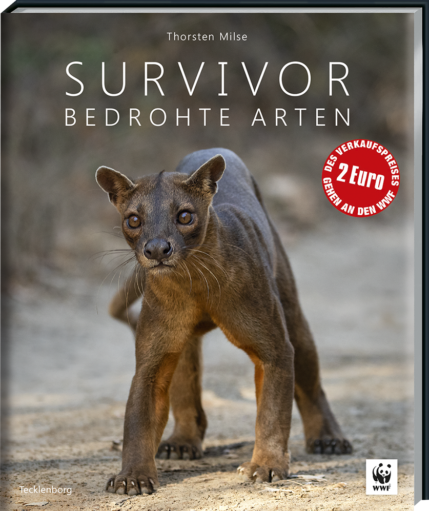 SURVIVOR - Bild 13